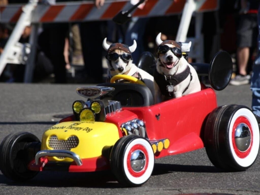 20 Unforgettable Festivals and Events You Can Only Experience in California – sanfrancisco365.info