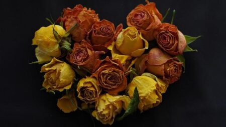 air travel disruptions Africa – Travel And Tour World – afric.news