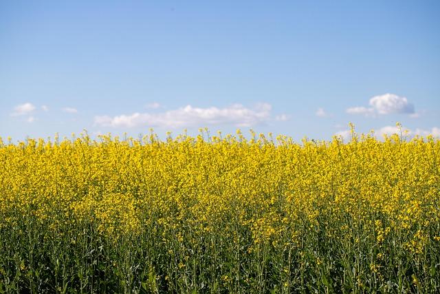 Why Major Rape Cases in France Consistently Spark Shock and Outrage – news-france.info