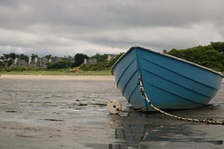 Eswatini Joyfully Welcomes Home Ten Deportees Returning from the US – afric.news