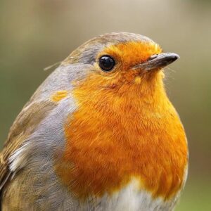 U.K. Stocks Climb 0.46%, Ending the Day on a High Note – www.mondialnews.com