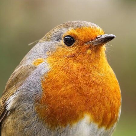 U.K. Stocks Climb 0.46%, Ending the Day on a High Note – www.mondialnews.com