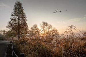 Sharp Decline in Chinese Visitors to Japan as Tensions Escalate – www.mondialnews.com