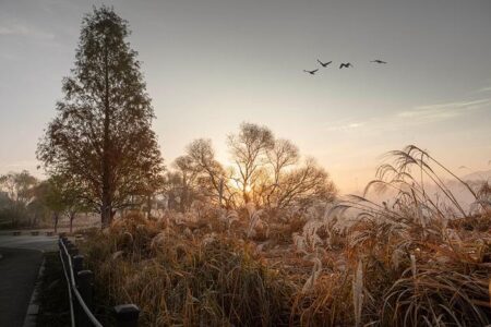 Sharp Decline in Chinese Visitors to Japan as Tensions Escalate – www.mondialnews.com