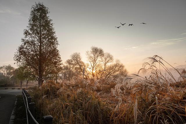 Sharp Decline in Chinese Visitors to Japan as Tensions Escalate – www.mondialnews.com