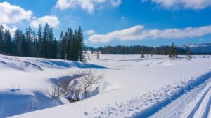 IOC Excludes ‘Crossover’ Sports Like Cross-Country and Cyclocross from 2030 Winter Olympics – athletism.info