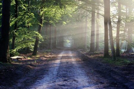 Ultra Trail Australia 2026: Exciting Highlights and Unforgettable Moments from the Blue Mountains – athletism.info