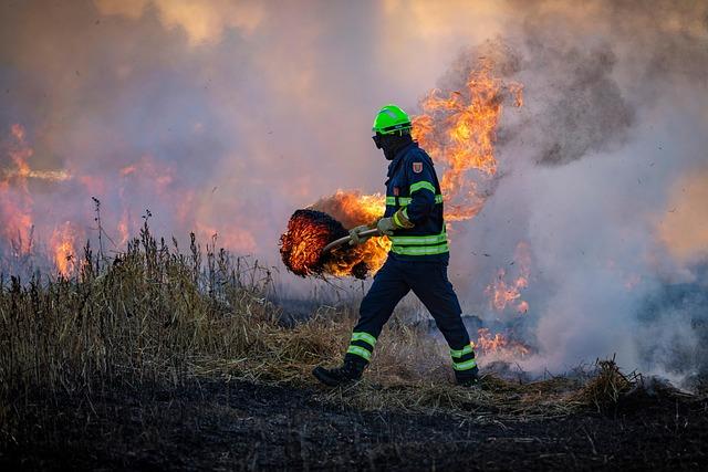 Unstoppable Fury Behind Monster Wildfires Devastating Spain and France – www.mondialnews.com