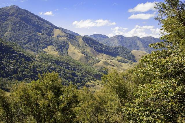 Serra Gaúcha: Discover Brazil’s Fastest-Growing Wine Region – www.mondialnews.com
