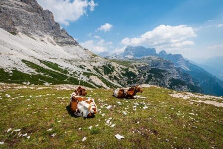 Italy is a Mitch! | Unconventional Travel Show Redefining European Adventures – www.mondialnews.com