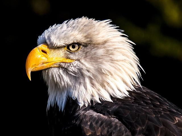 Eagles’ Controversial Kick Ignites Urgent Rules Clarification Meeting – philadelphia365.info